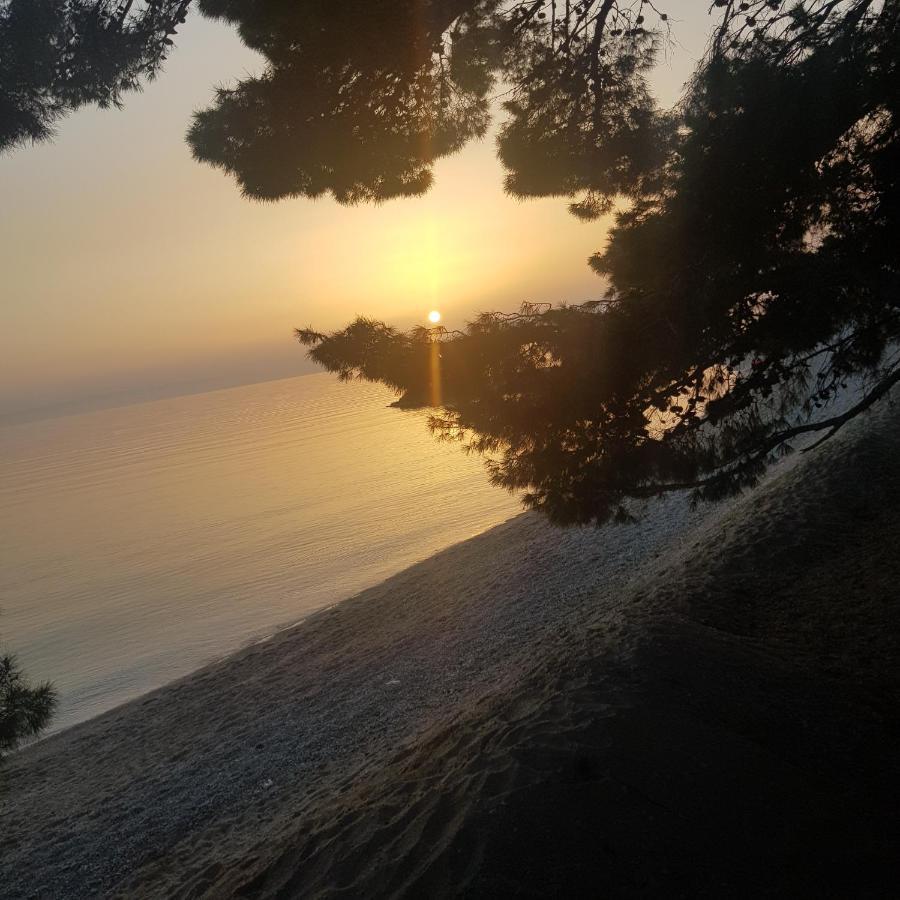 Lorena Luxury Apartment Makarska Zewnętrze zdjęcie